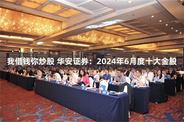 我借钱你炒股 华安证券：2024年6月度十大金股