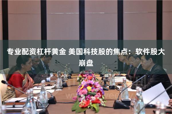 专业配资杠杆黄金 美国科技股的焦点：软件股大崩盘