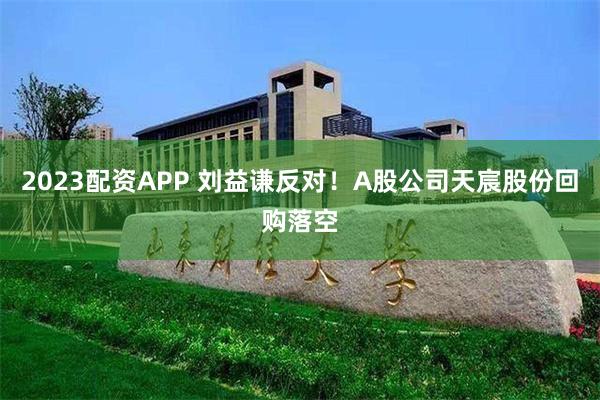 2023配资APP 刘益谦反对！A股公司天宸股份回购落空