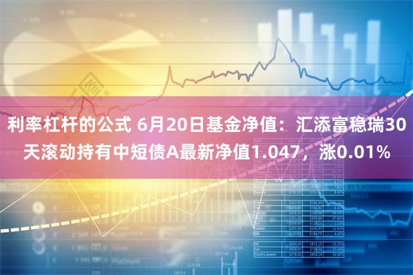 利率杠杆的公式 6月20日基金净值：汇添富稳瑞30天滚动持有中短债A最新净值1.047，涨0.01%