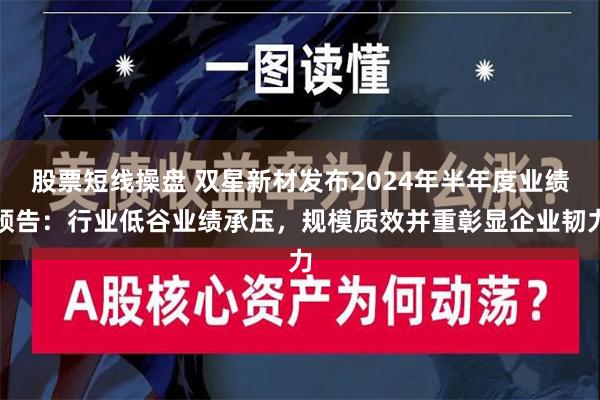 股票短线操盘 双星新材发布2024年半年度业绩预告：行业低谷业绩承压，规模质效并重彰显企业韧力