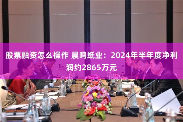 股票融资怎么操作 晨鸣纸业：2024年半年度净利润约2865万元