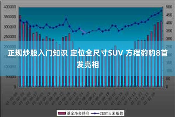 正规炒股入门知识 定位全尺寸SUV 方程豹豹8首发亮相