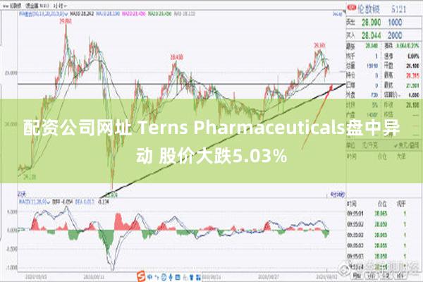 配资公司网址 Terns Pharmaceuticals盘中异动 股价大跌5.03%