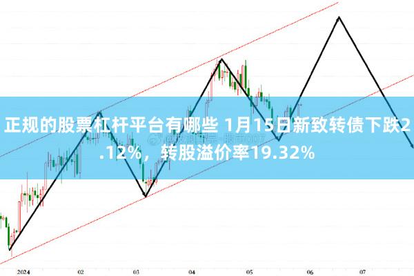 正规的股票杠杆平台有哪些 1月15日新致转债下跌2.12%，转股溢价率19.32%