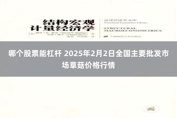 哪个股票能杠杆 2025年2月2日全国主要批发市场草菇价格行情